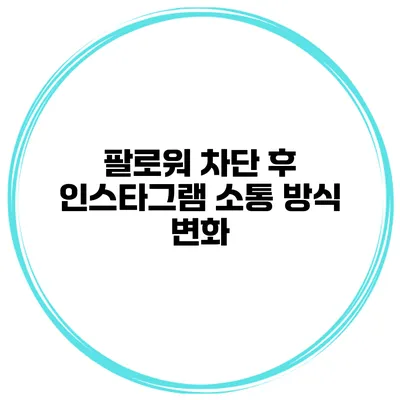 팔로워 차단 후 인스타그램 소통 방식 변화