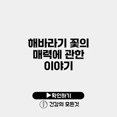 해바라기 꽃의 매력에 관한 이야기