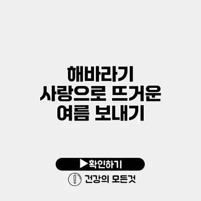 해바라기 사랑으로 뜨거운 여름 보내기